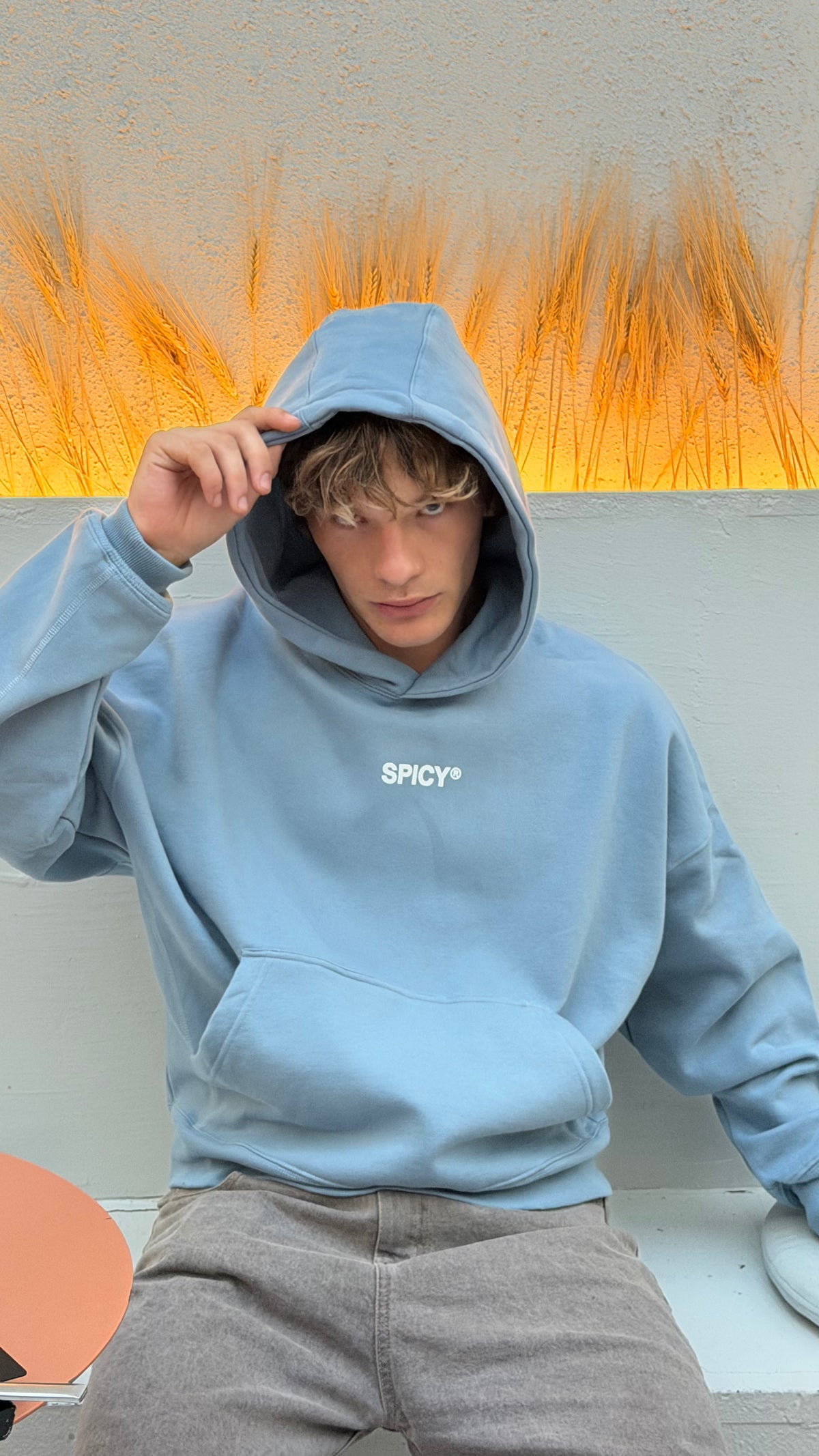 SEX IN THE SKY HOODIE BABY BLUE