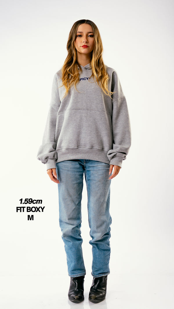 BLUE STAR HOODIE GRIS MELANGE