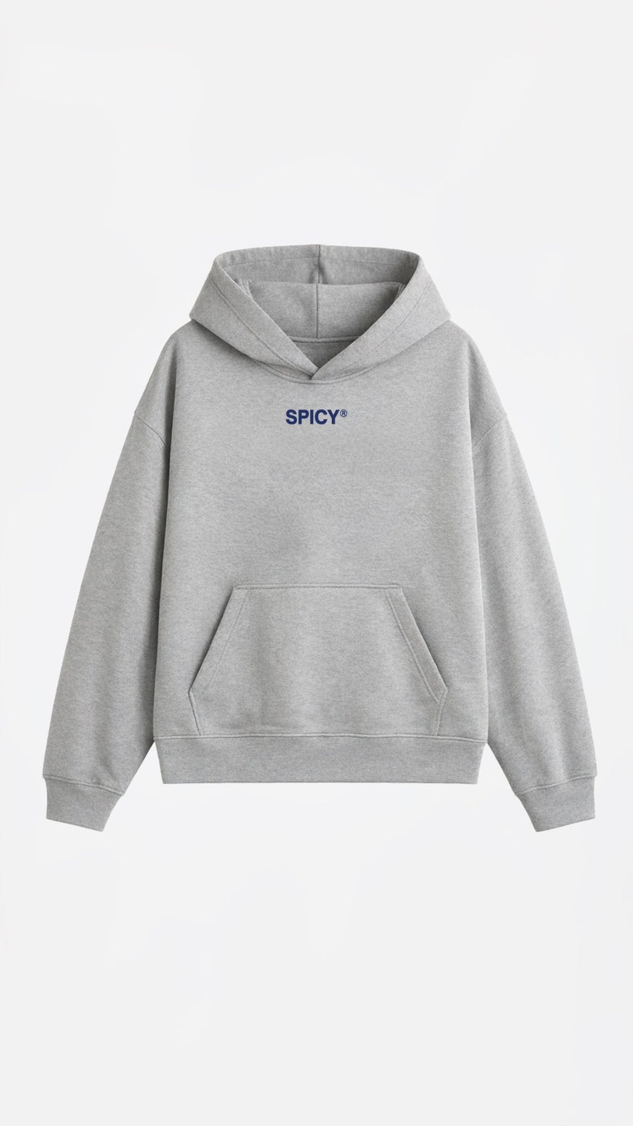 BLUE STAR HOODIE GRIS MELANGE - Spicy
