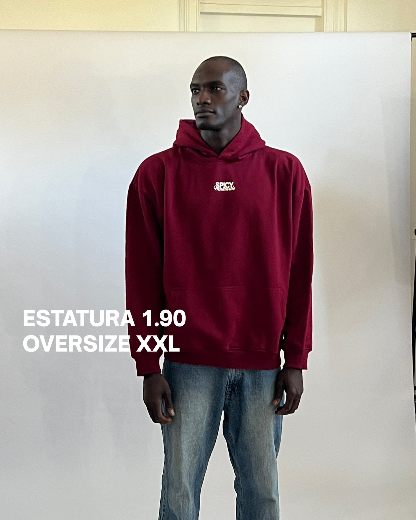 WORLDWIDE HOODIE BURDEO