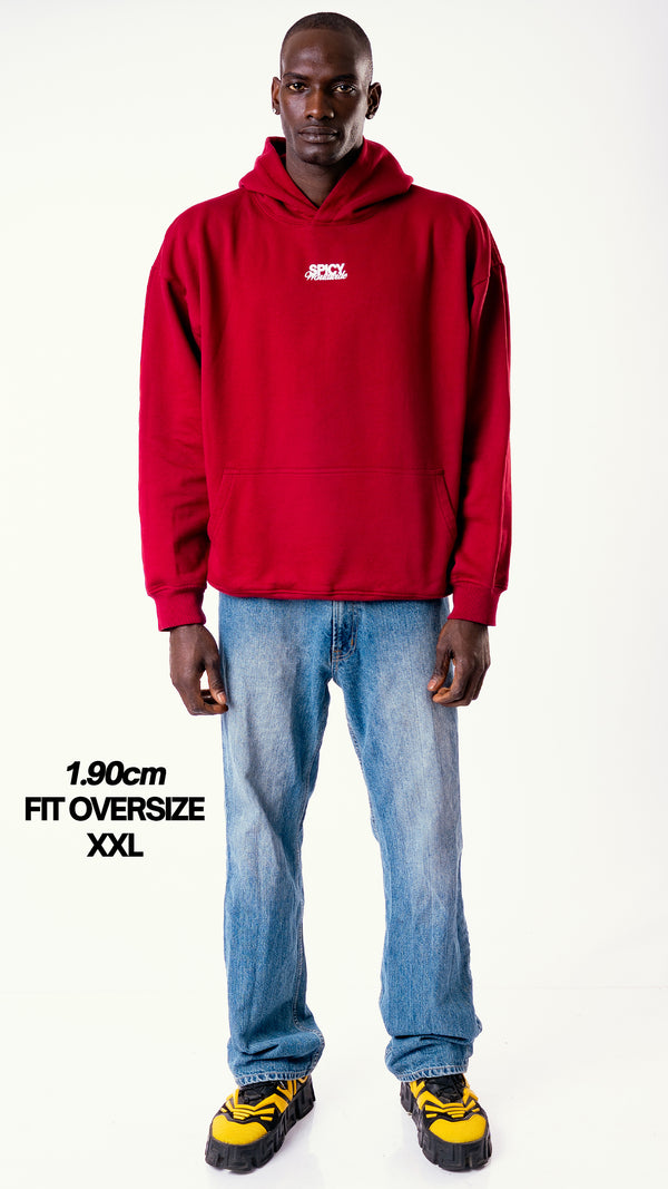 WORLDWIDE HOODIE BURDEO