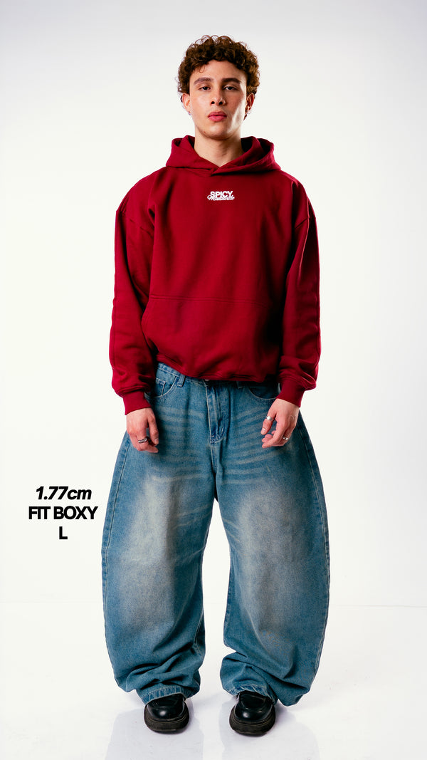 WORLDWIDE HOODIE BURDEO